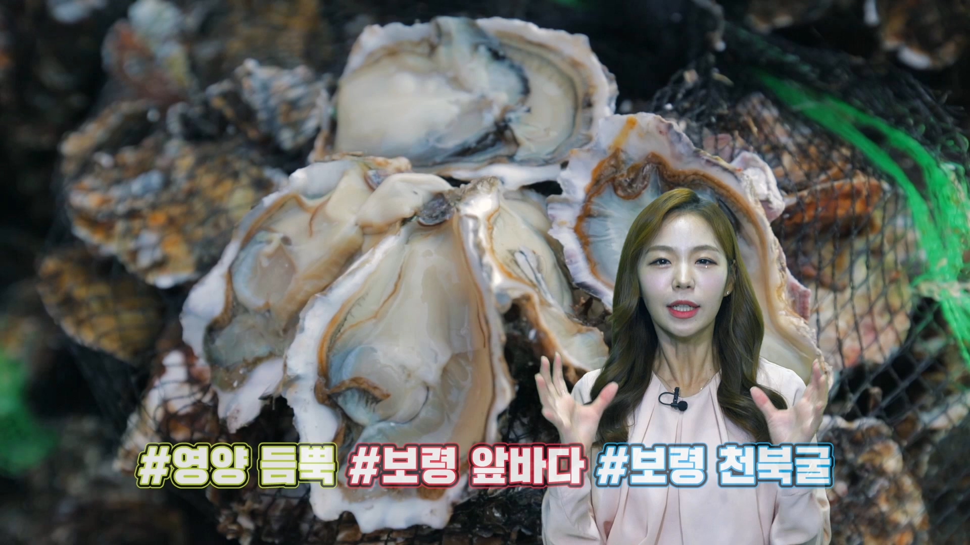 영양만점 천북굴